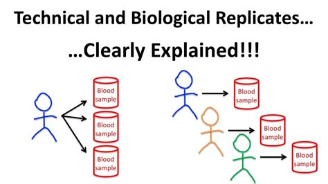 biological repeat vs technical.